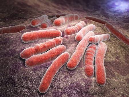 Mycobacterium tuberculosis is a pathogenic bacterial species in the family Mycobacteriaceae and the causative agent of most cases of tuberculosis Фото со стока - 43793669